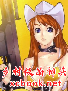 乡村极品神兵