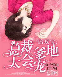 一胎双宝：总裁爹地太会宠