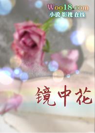 镜中花（ 娱乐圈 H）