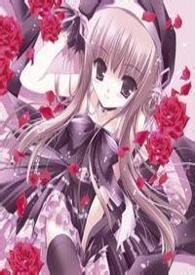 幻想h游戏之限定篇