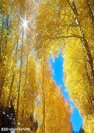 足球选手秘密情人1