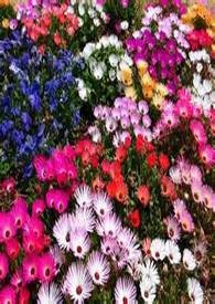 中短篇 主动激情夜