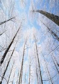 中短篇 失控的灵魂