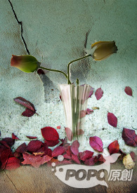 拜金山庄－碰巧被捕