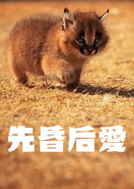 先昏（婚）后爱 【兽人】